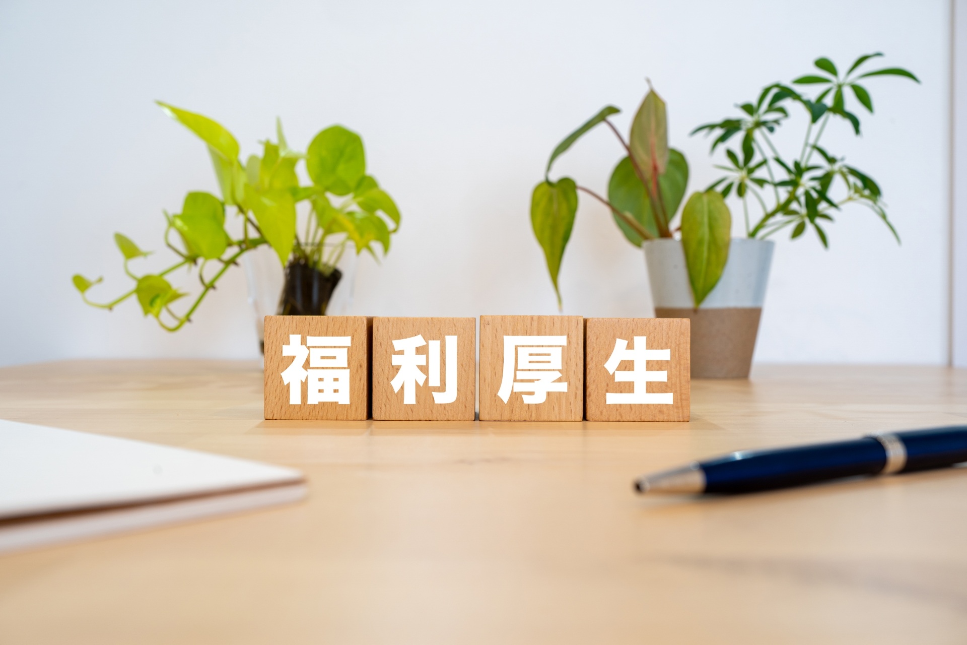 AdobeStock_488135379